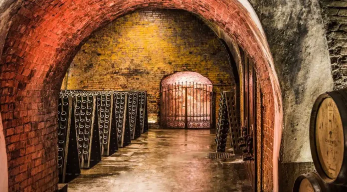 Italy’s Most Compelling Wines Right Now Alta Langa Coppo underground cellar