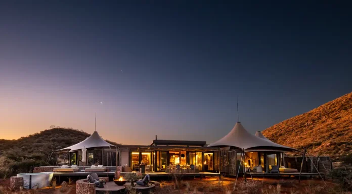 Tswalu Loapi, Star Of The Southern Kalahari Loapi - Andrew Morgan - Tswalu(2)