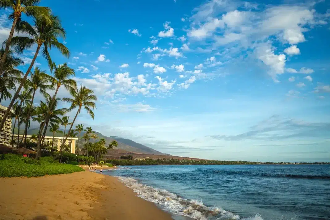Maui Vacation Rentals by Sullivan Properties. Photo vecteezy-medium Maui Vacation Rentals by Sullivan Properties. Photo vecteezy-medium