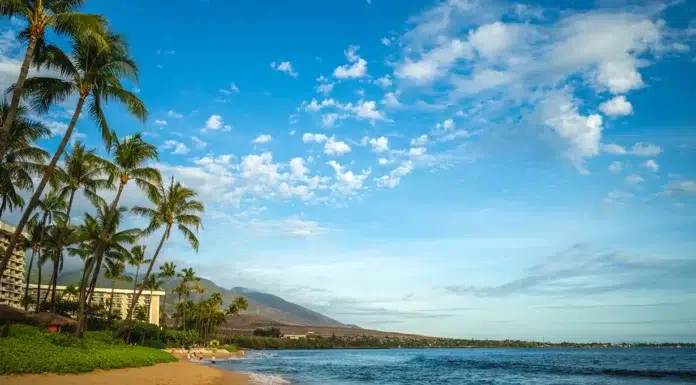 Top 7 Reasons to Choose Sullivan Properties Inc. for Maui Vacation Rentals Maui Vacation Rentals by Sullivan Properties. Photo vecteezy-medium