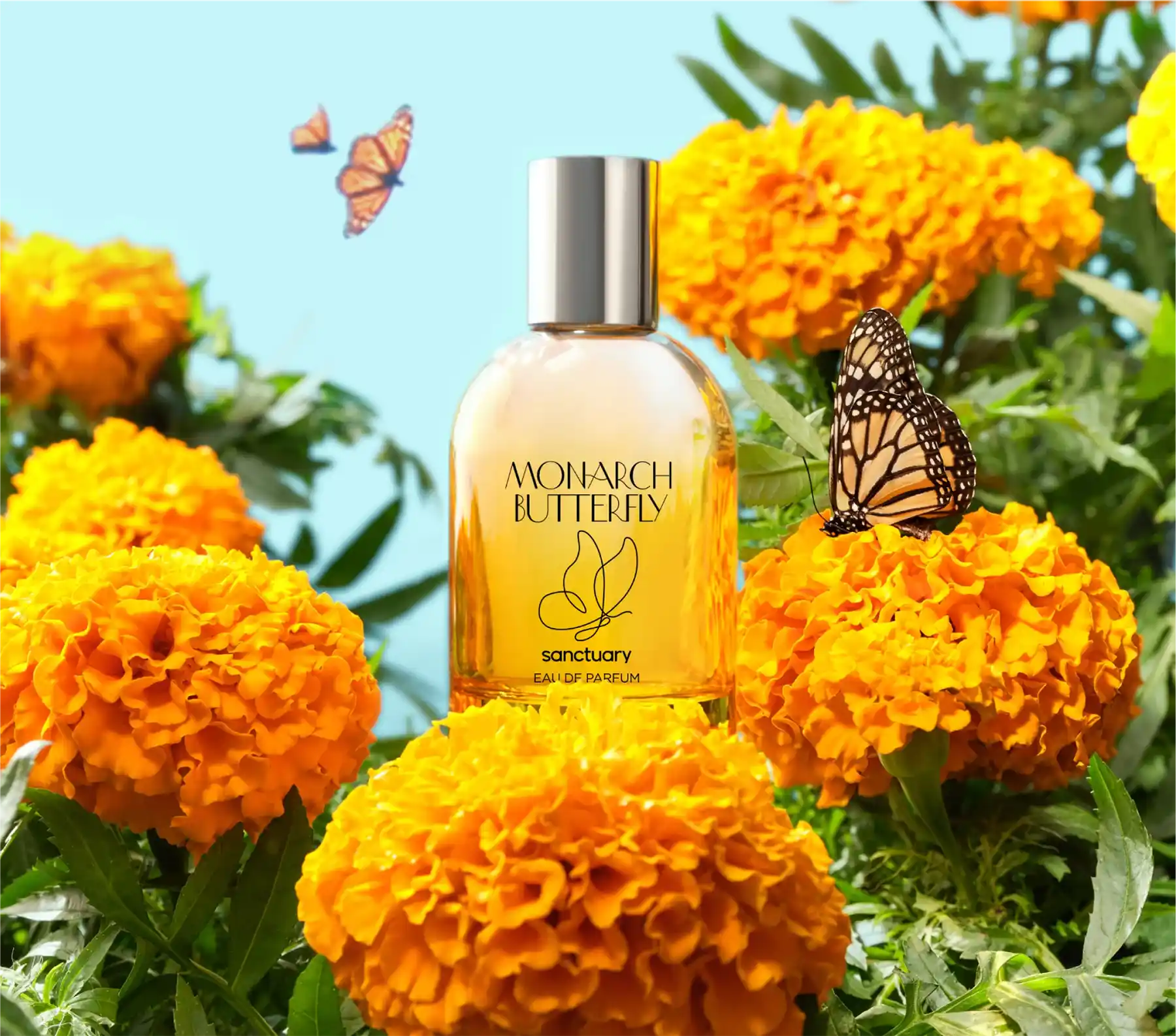 Monarch Butterfly Perfume Monarch Butterfly Perfume