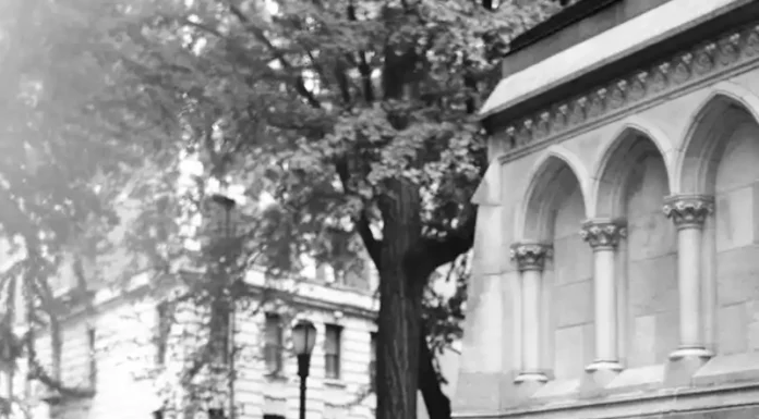 Ashley Graham Fronts Stuart Weitzman’s Spring 2026 Campaign Stuart Weitzman SS26 Campaign Featuring Ashley Graham