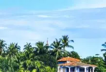 Villas in Jamaica: A Complete Guide to Private Luxury, Views, and Exclusive Experiences Hotels resorts and buildings in paradise among palm trees in Zicatela Puerto Escondido Oaxaca Mexico.