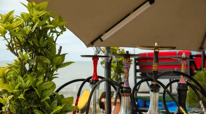 The New Collector’s Guide to Premium Hookah Pipes: What Serious Buyers Need to Know Colorful new collector's guide to premium Hookah Pipes. Vecteezy-medium