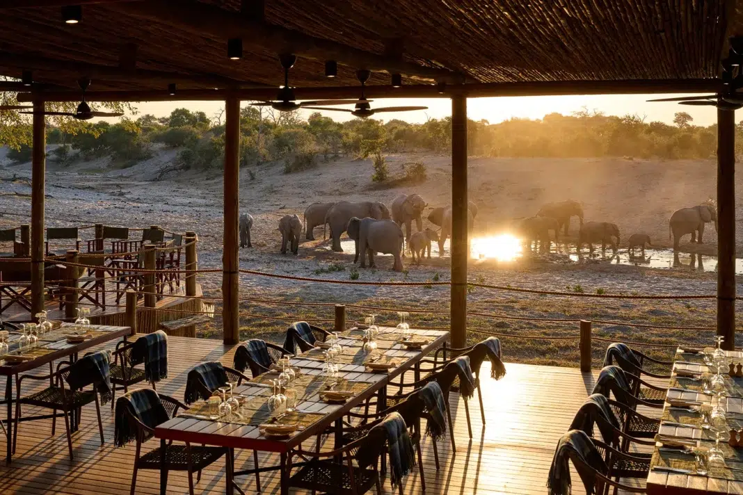 Desert & Delta Safari Savute Dining Desert & Delta Safari Savute Dining