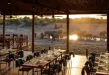 A Trinity Of Enchantment With Desert & Delta Safaris Desert & Delta Safari Savute Dining