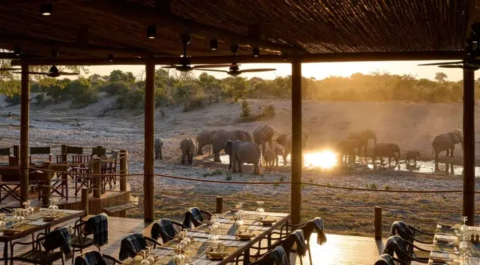 A Trinity Of Enchantment With Desert & Delta Safaris Desert & Delta Safari Savute Dining