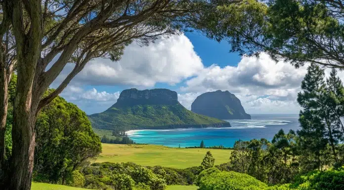 Which Australian Islands Are Worth Visiting and What Makes Them Special Lord Howe Island, Australia is a tourist Place. Vecteezy-medium