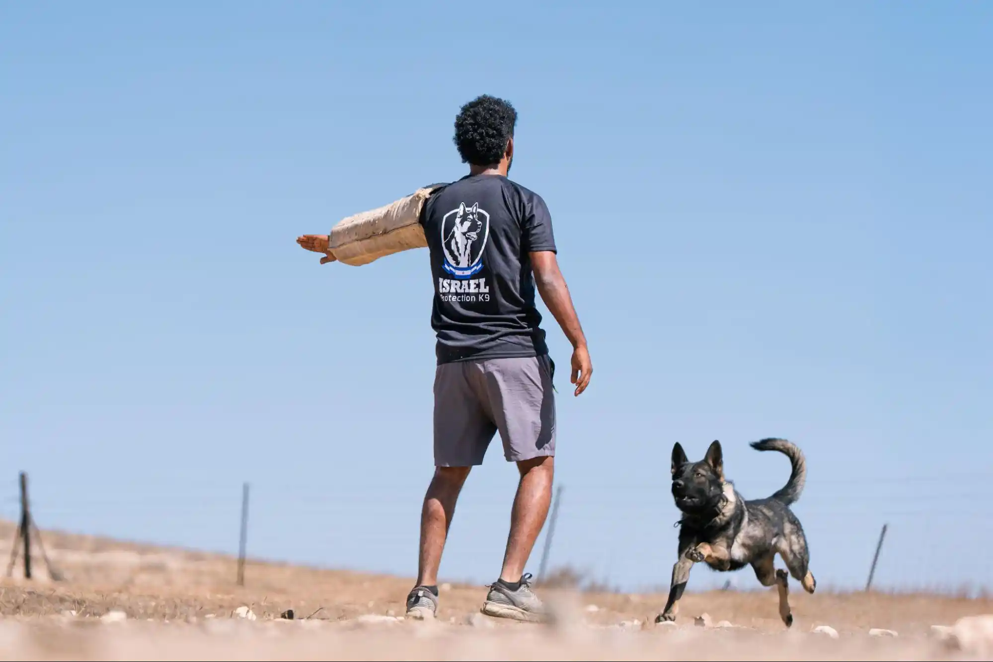 Protection Dog training. Photo source Ascend Agency Protection Dog training. Photo source Ascend Agency