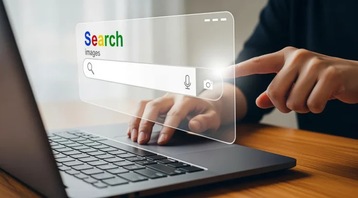 How Search Visibility and Website Structure Shape Digital Success in Regional Markets website search visibility and structure. Vecteezy-medium