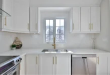 Apex Titanium Cutting Boards: The Kitchen Upgrade Focused on Health, Durability, and Clean Living by Cutting Microplastics Out of Your Kitchen Apex Titanium Cutting Boards