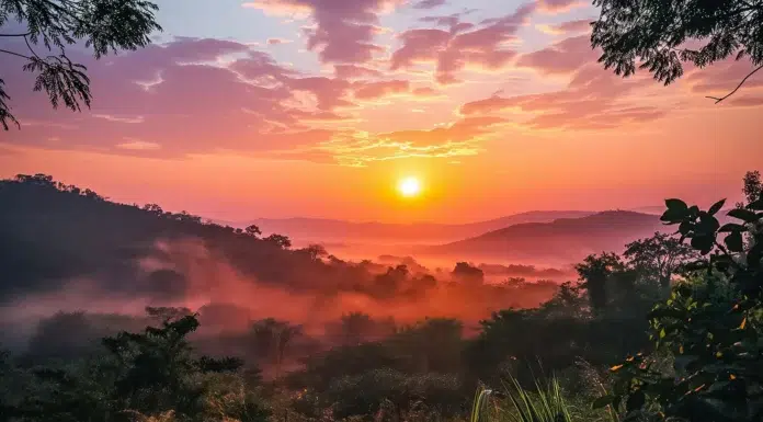 7 Things to Know Before Touring Uganda Beautiful Uganda in Africa. Vecteezy-medium