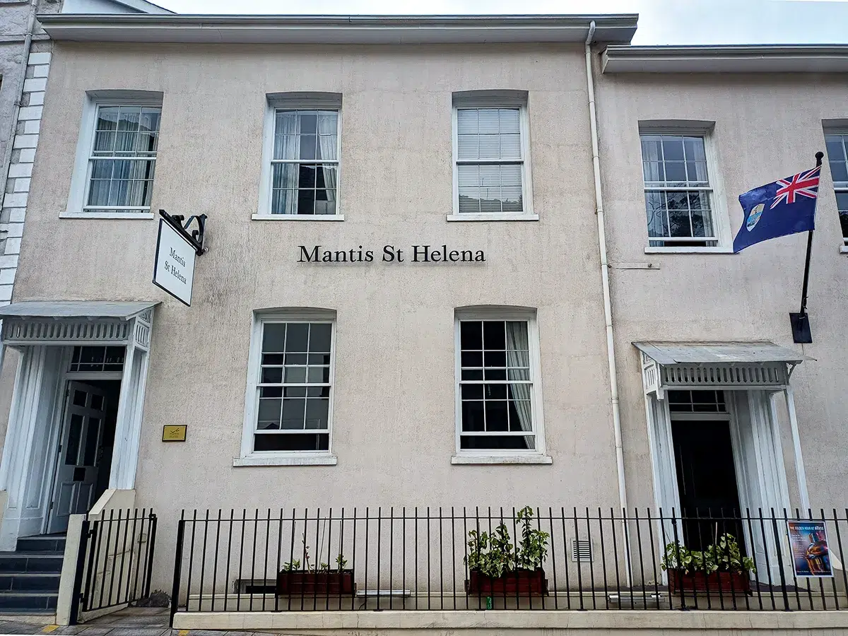 Mantis St Helena. Photo by Heléne Ramackers Mantis St Helena. Photo by Heléne Ramackers