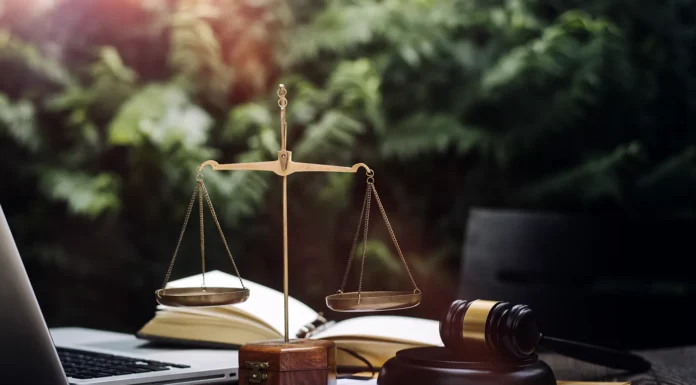 Winning Your Case: The Process of a Car Accident Lawyer Successful car accident lawyer. Vecteezy-medium