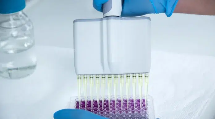 Understanding and Tackling Protein Precipitation Tackling protein precipitation. Vecteezy-medium