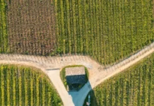 Berry Bros. Secures Burgundy Estate Partnership Vigne Enfant Jesus ©Vinup