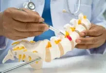 Can Physiotherapy Help Slipped Disc Patients? Can physiotherapy help slipped disc patients. Vecteezy-medium