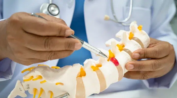 Can Physiotherapy Help Slipped Disc Patients? Can physiotherapy help slipped disc patients. Vecteezy-medium