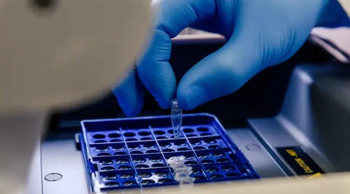 How To Improve Results When Using A DNA Extraction Kit How To Improve Results When Using A DNA Extraction Kit