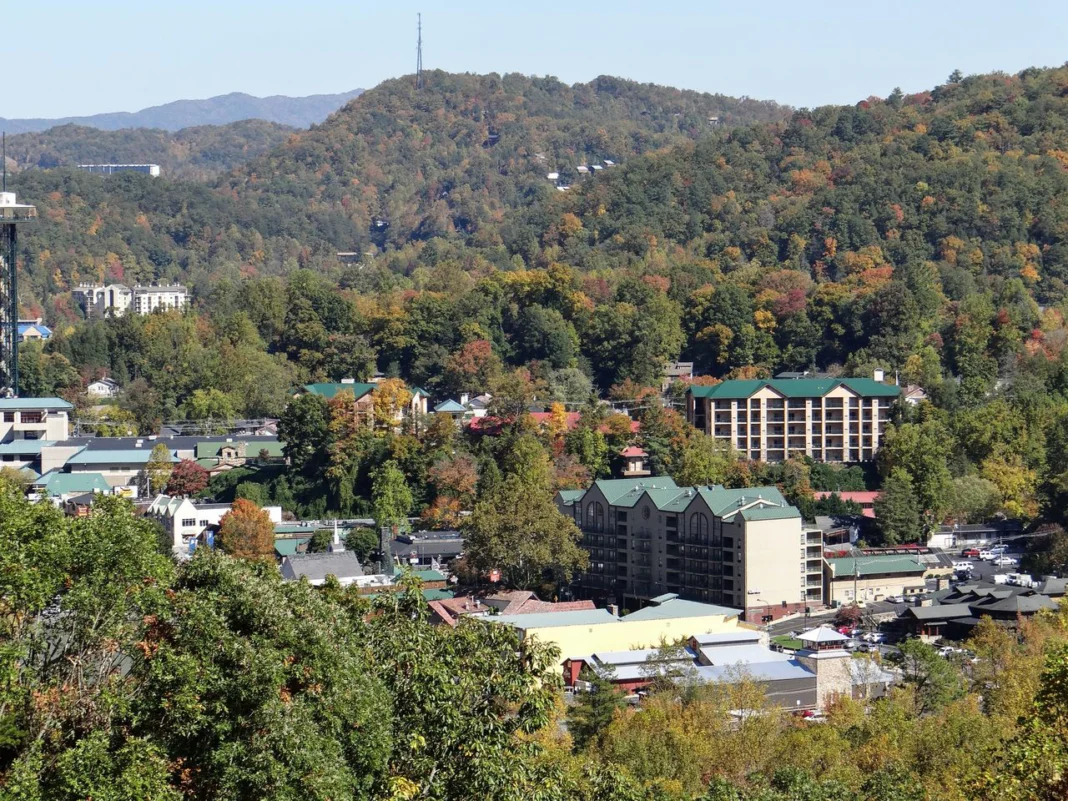 Pet-Friendly Gatlinburg Getaway Without the Stress. Photo by Bobbi via pexels