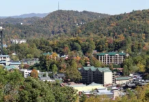 Pet-Friendly Gatlinburg Getaway Without the Stress Pet-Friendly Gatlinburg Getaway Without the Stress. Photo by Bobbi via pexels