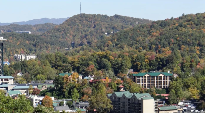 Pet-Friendly Gatlinburg Getaway Without the Stress Pet-Friendly Gatlinburg Getaway Without the Stress. Photo by Bobbi via pexels
