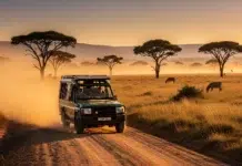Tanzania Safari Experience: Behind the Scenes of Africa’s Untamed Beauty Safari vehicle on the road in Tanzania. Vecteezy-medium