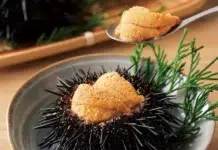 Inside the World’s Most Coveted Ingredients Uni sea urchins. Source kikkoman dot com