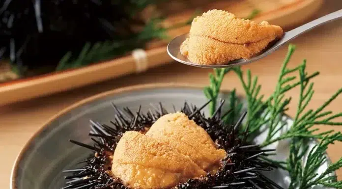 Inside the World’s Most Coveted Ingredients Uni sea urchins. Source kikkoman dot com