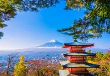 First Time in Tokyo? Here’s What to Know beautiful landscape of Mt Fuji in Tokyo. Vecteezy-medium