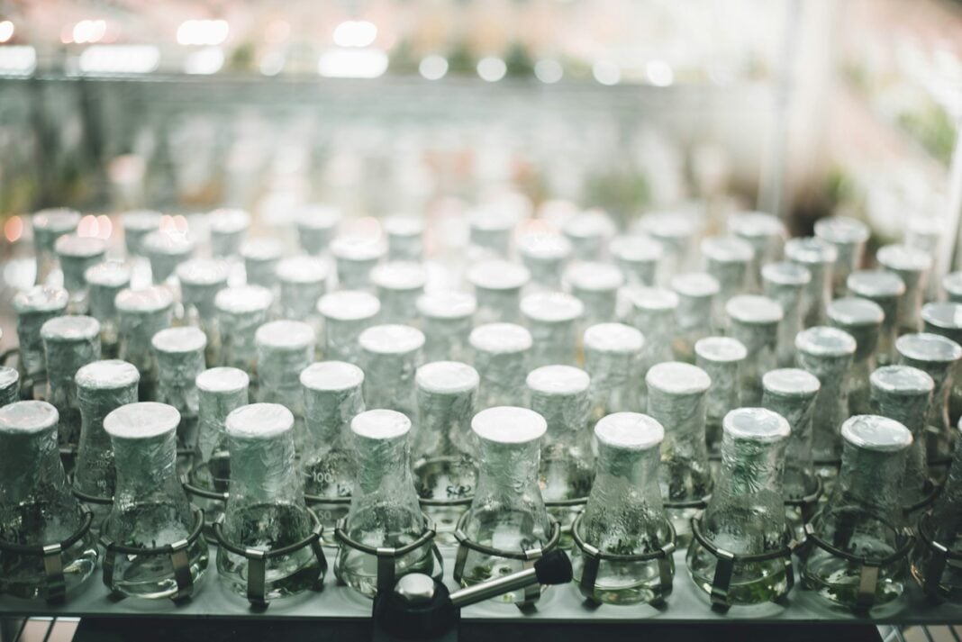 Rows of glass supplement bottles on a clean white production line. Photo by Chuttersnap via unsplash