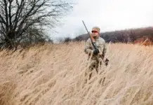 What Makes a Good Hunting Stock for the Modern Hunter? Good Hunting Stock for the Modern Hunter. Vecteezy-medium