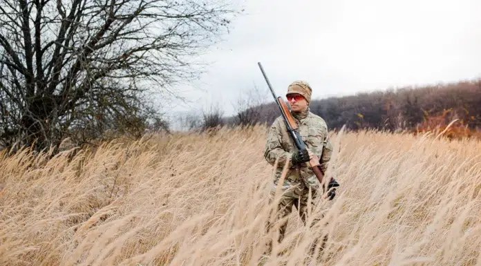 What Makes a Good Hunting Stock for the Modern Hunter? Good Hunting Stock for the Modern Hunter. Vecteezy-medium