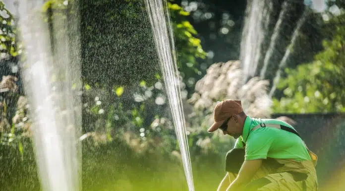 Why Professional Irrigation Makes All the Difference for Your Lawn Professional Irrigation. Vecteezy-medium