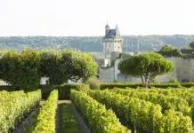 The Loire Valley’s Quiet Art of Wine and Château Living Vignes et Château, Chinon Stevens Frémont