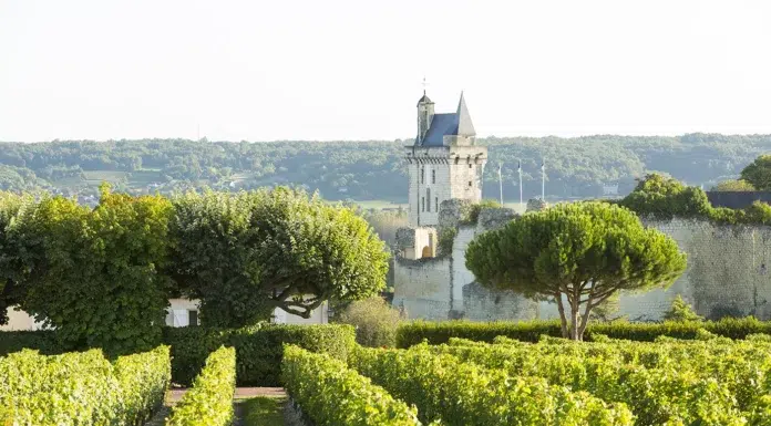 The Loire Valley’s Quiet Art of Wine and Château Living Vignes et Château, Chinon Stevens Frémont
