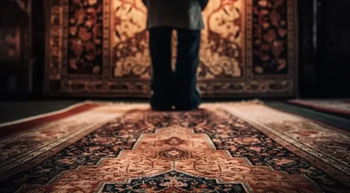 Common Carpet Cleaning Mistakes Dubai Homeowners Should Avoid common carpet cleaning mistakes Dubai homeowners should avoid. Vecteez-medium
