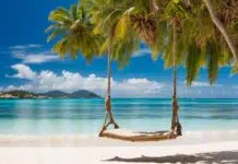 How to Ensure Your Dream Holiday Goes According to Plan Dream Holiday vacation. Vecteezy-medium