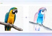 How to Invert PNG Colors Online While Keeping the Transparent Background Invert PNG Colors online. AI Image via ChatGPT