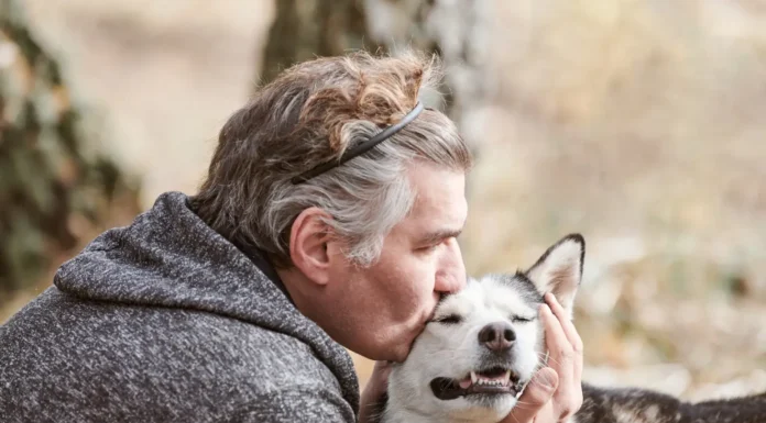 How to Get Skunk SmellO ff a Dog Without the Tomato-Juice Myth Removing skunk odor from