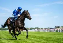 The Connoisseur’s Guide to the British Racing Season The Connoisseurs guide to british racing. Vecteezy-medium