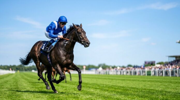 The Connoisseur’s Guide to the British Racing Season The Connoisseurs guide to british racing. Vecteezy-medium