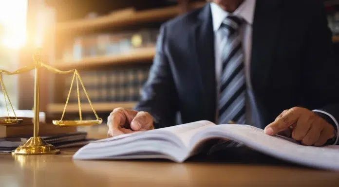 Who Reviews Your Case Before a Partner Ever Sees It Who reviews your criminal case. Vecteezy-medium