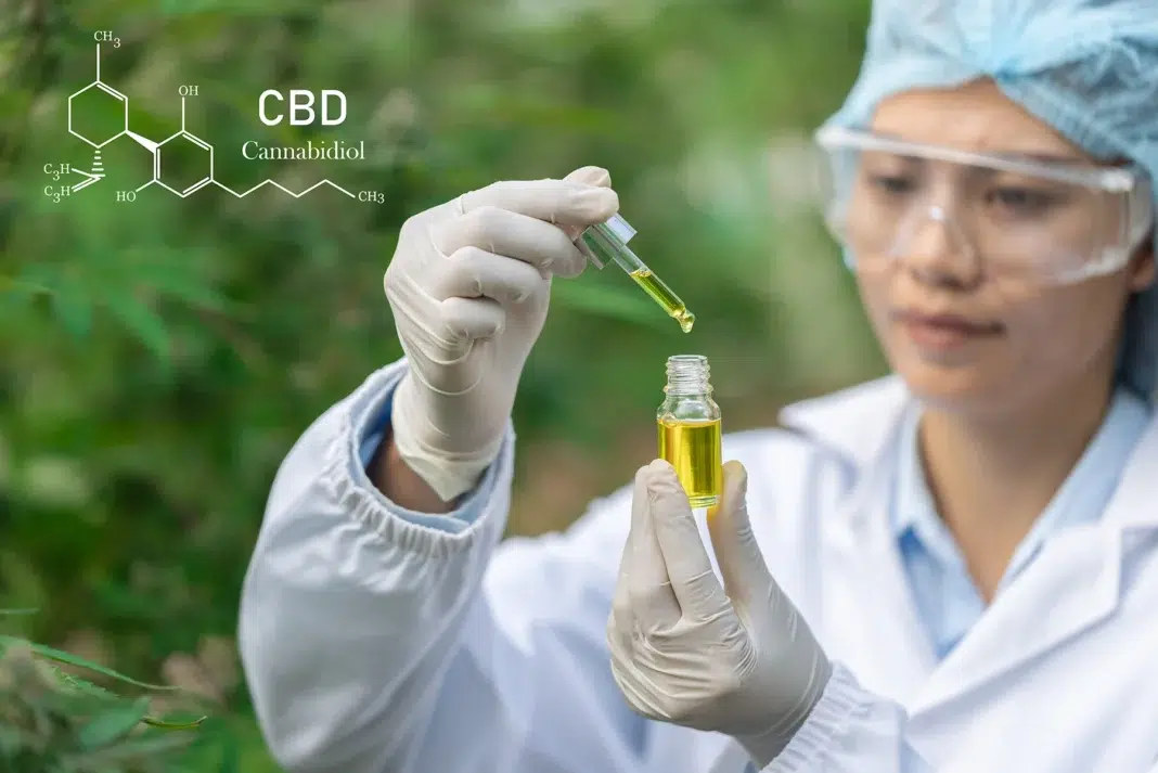 Why Nano-Formulated CBD and THC Outperform Oil-Based Tinctures. Vecteezy-medium Why Nano-Formulated CBD and THC Outperform Oil-Based Tinctures. Vecteezy-medium