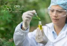 Why Nano-Formulated CBD and THC Outperform Oil-Based Tinctures Why Nano-Formulated CBD and THC Outperform Oil-Based Tinctures. Vecteezy-medium