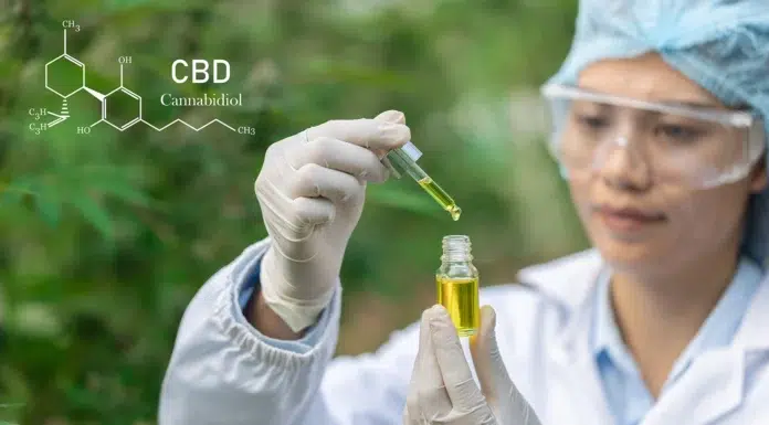 Why Nano-Formulated CBD and THC Outperform Oil-Based Tinctures Why Nano-Formulated CBD and THC Outperform Oil-Based Tinctures. Vecteezy-medium