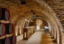 Inside a 900-Year-Old Templar Wine Cellar petr-novague-templarske-sklepy-vaclav-novak-18