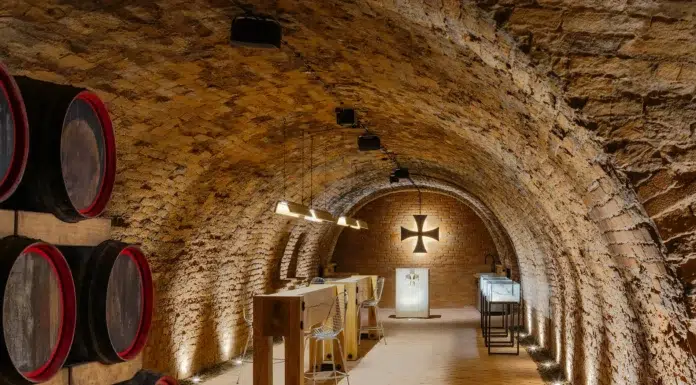 Inside a 900-Year-Old Templar Wine Cellar petr-novague-templarske-sklepy-vaclav-novak-18