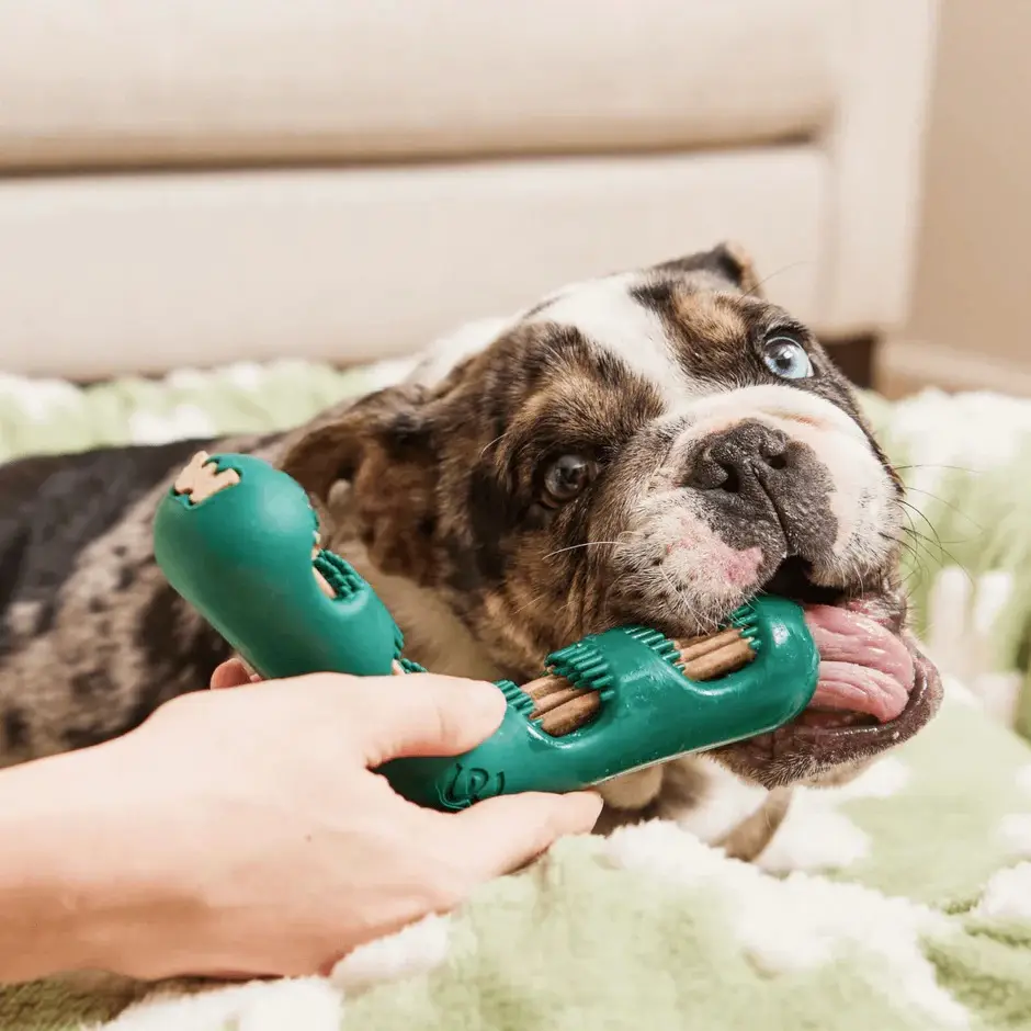 9. Woof_ Don’t Forget Their 9. Woof_ Don’t Forget Their