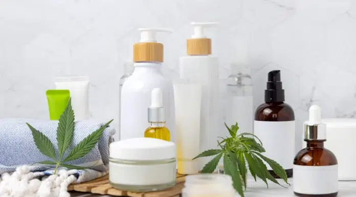 CBD for Beginners: How to Choose the Right Product for Your Lifestyle CBD products for the beginner. Vecteezy-medium